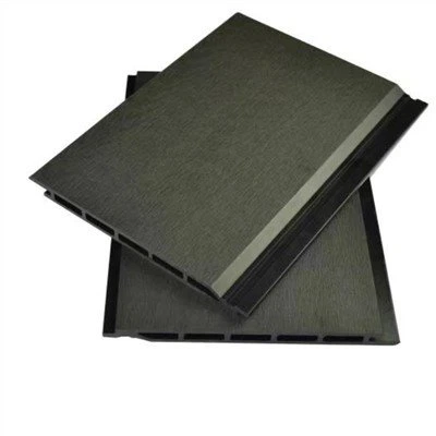 Wand clading WPC wandpaneel voor buiten